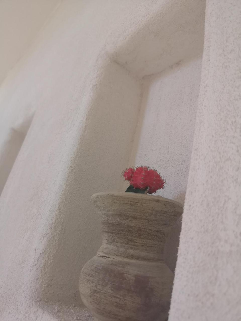 بروسيدا B&B Villa Rosalia المظهر الخارجي الصورة
